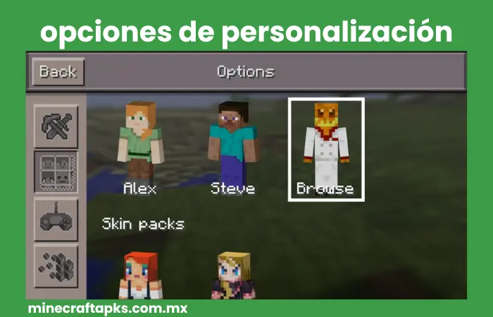 opciones de personalización